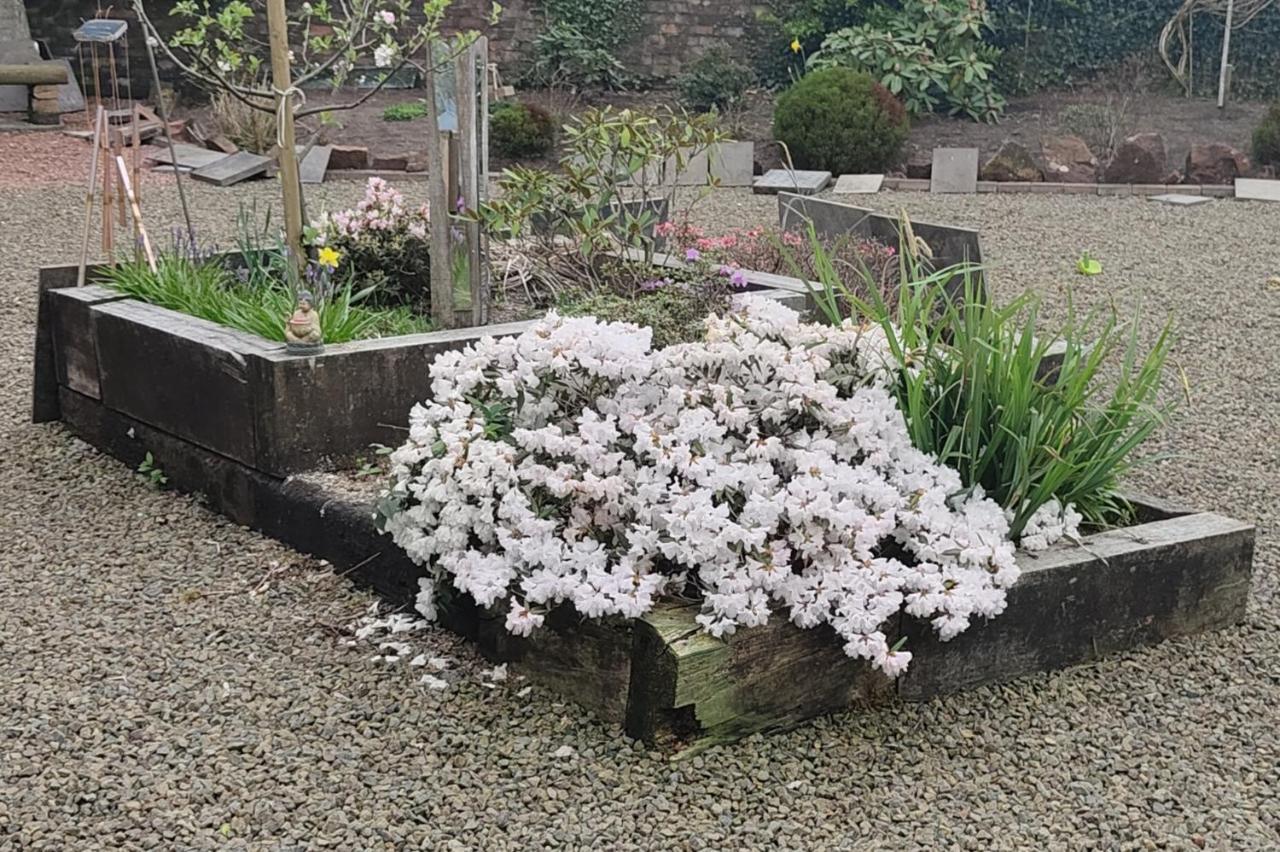 The Cabin Quiet Relaxing And Dog Friendly Mauchline エクステリア 写真